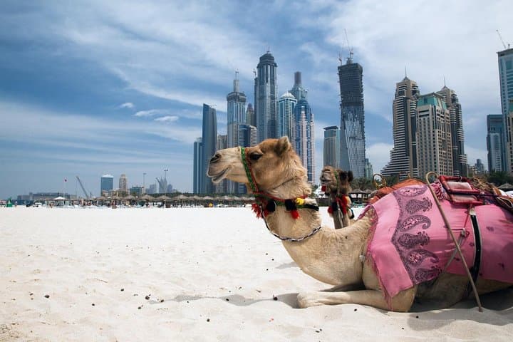 Private Modern Dubai Tour with Palm Jumeirah Monorail Ride photo 5