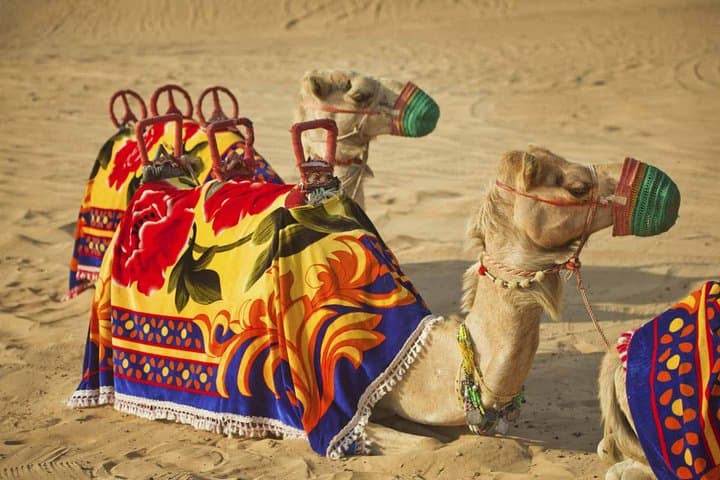 Private Dubai Desert Safari with BBQ Dinner and Dune Bashing photo 2