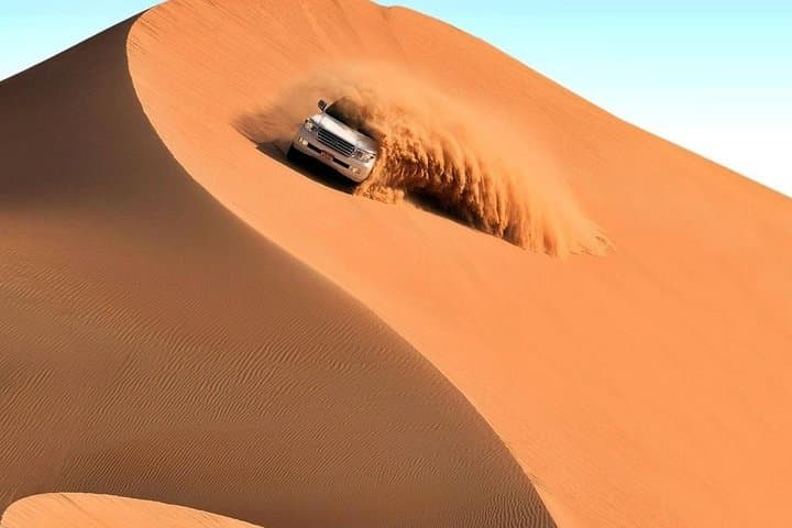 Liwa Empty Quarter Full-Day Safari: Dune Bashing, Camel Rocks & Liwa Fort