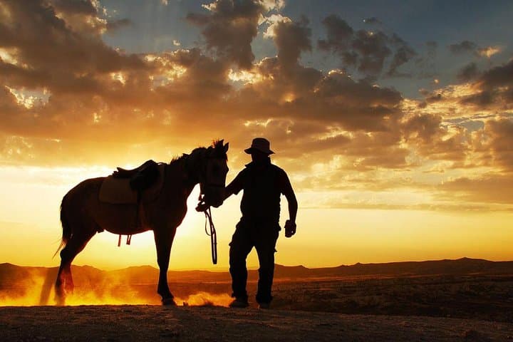 Ride the Dubai Dunes: 60-Minute Horseback Adventure with Hotel Transfers photo 3