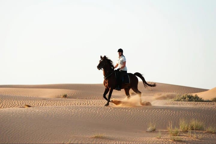 Ride the Dubai Dunes: 60-Minute Horseback Adventure with Hotel Transfers photo 1