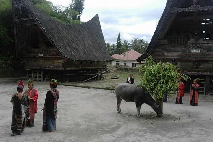 North Sumatra Highlights: 6-Day Jungle Trek, Orangutans, Lake Toba & Volcanoes