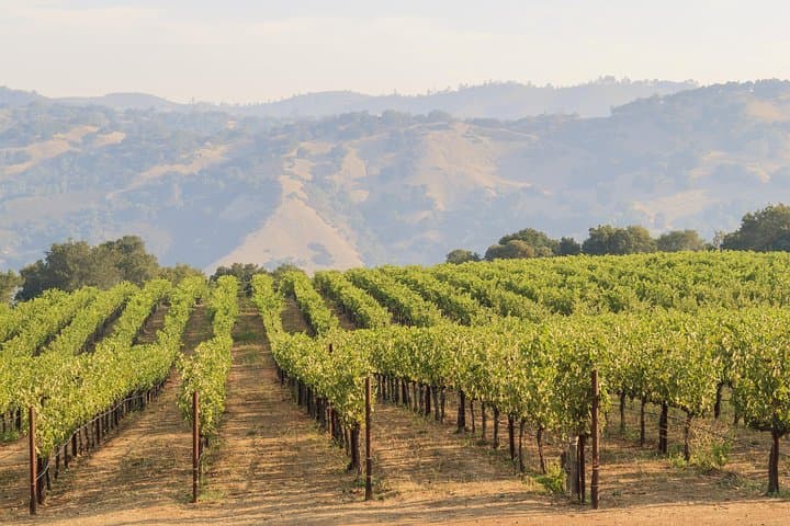 Russian River Wine Tasting & Gourmet Lunch at Kendall-Jackson photo 5