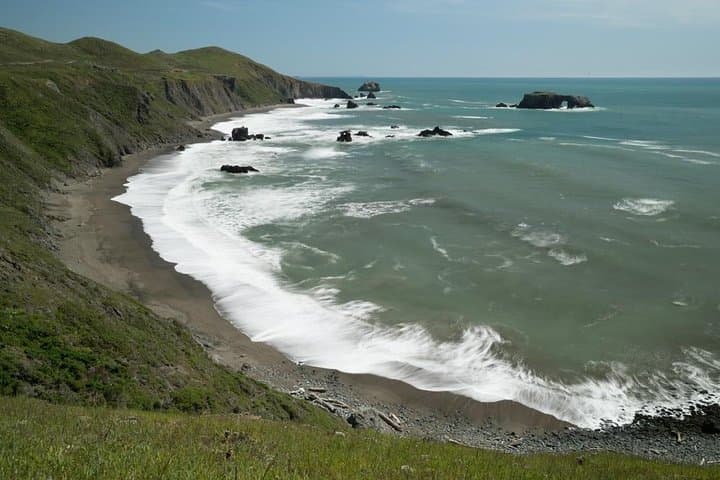 Redwoods, Coastal Views & Sausalito: Day Trip from San Francisco photo 3