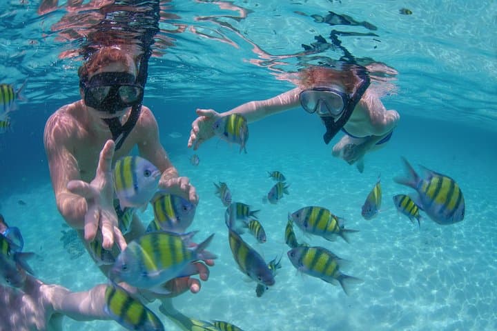 Private Luxury Sailing Cruise in Los Cabos — Snorkel, Paddle & See the Arch photo 2