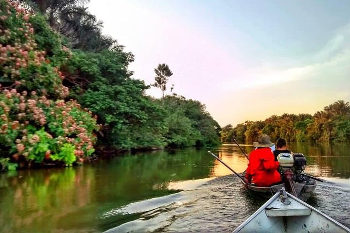 Maica Lake Boat Tour from Alter do Chão — Amazon Wildlife & Meeting of the Waters