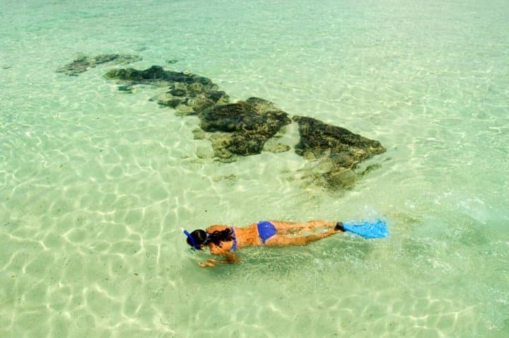 Makena Kayak & Snorkel: Paddle to Turtle Gardens on Maui’s South Shore