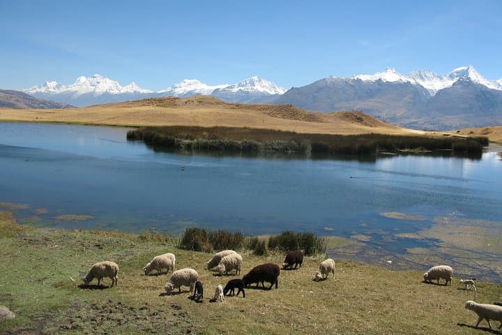 Hike to Huilcaccoha Lake: A High-Altitude Day Trek from Huaraz