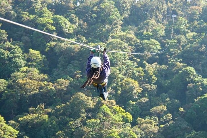 Monteverde Private Zipline and Rappelling Adventure — Canopy Tour with Tarzan Swing photo 6