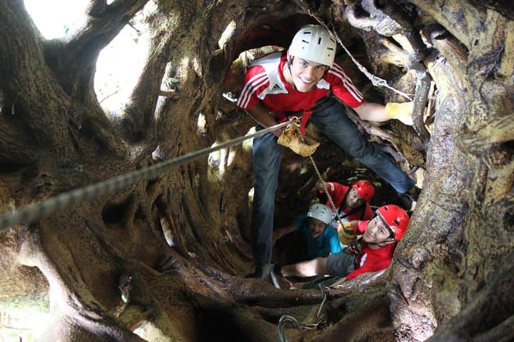 Tree Top Climbing Monteverde: Scale a 131-Foot Ficus in the Cloud Forest photo 2