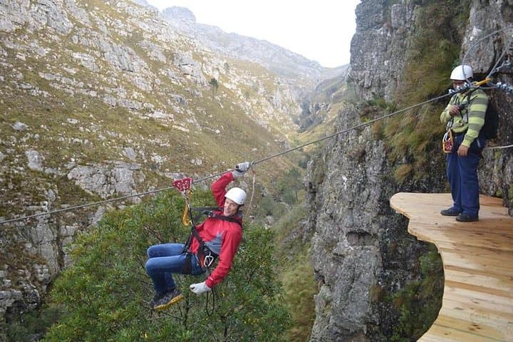 Cape Canopy Zipline Tour Elgin — Ziplining Over the Riviersonderend Gorge