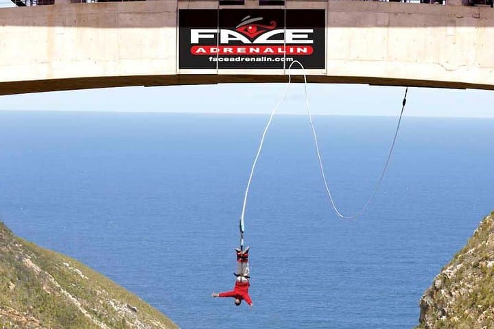Garden Route Big 5, Cango Caves & Bloukrans Bungee: 3-Day Adventure from Cape Town