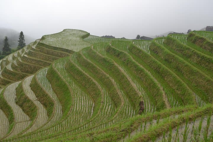 Longji Rice Terraces Day Tour from Guilin — Ping'an Viewpoints & Longhair Village photo 3