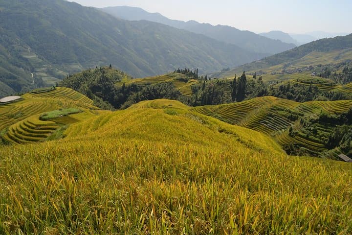 Longji Rice Terraces Day Tour from Guilin — Ping'an Viewpoints & Longhair Village photo 4