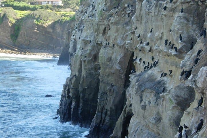 Exploring La Jolla Sea Caves: A Tandem Kayak Adventure Along San Diego’s Coast photo 6