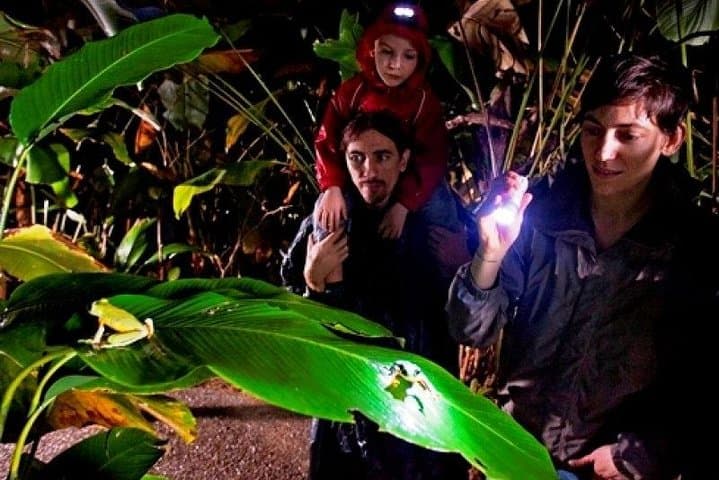 Arenal Oasis Night Walk: Frog Sanctuary Night Tour in La Fortuna photo 2