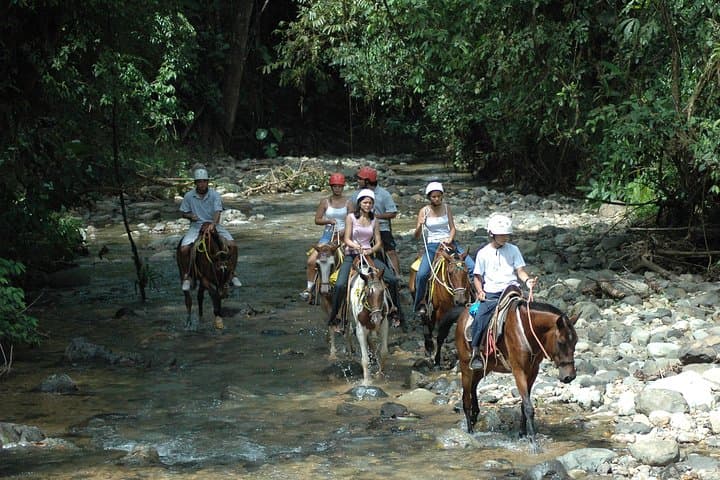 Manuel Antonio Horseback Riding Tour: Rainforest Trails to a Waterfall