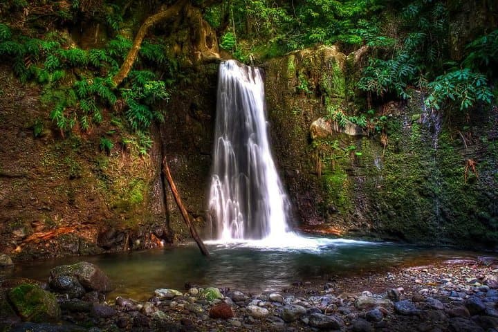 Sanguinho Trail Full-Day Hiking Tour from Ponta Delgada photo 2