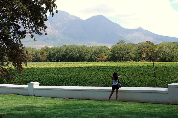Full-Day Cape Winelands Wine Tour: Paarl, Franschhoek & Stellenbosch Tastings
