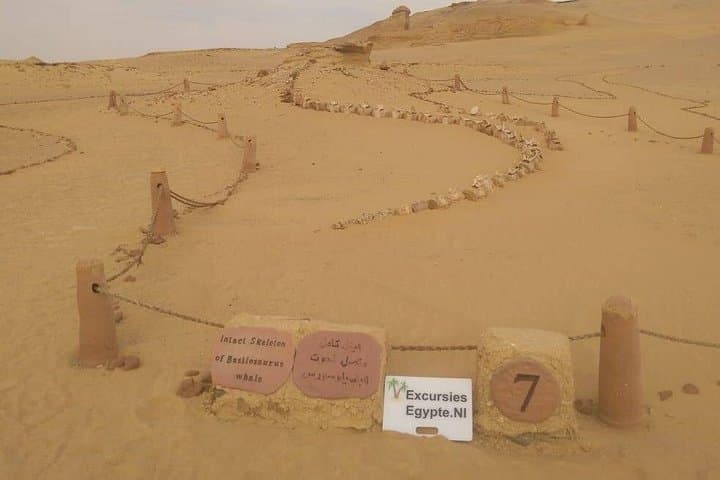 Valley of the Whales: Two-Day Desert Camping Tour from Hurghada photo 2