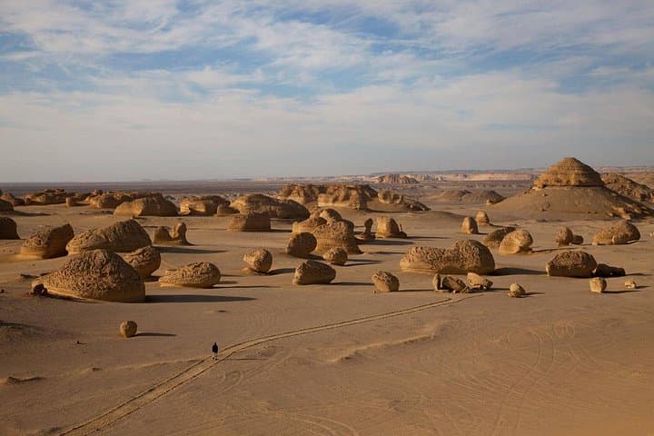 Valley of the Whales: Two-Day Desert Camping Tour from Hurghada