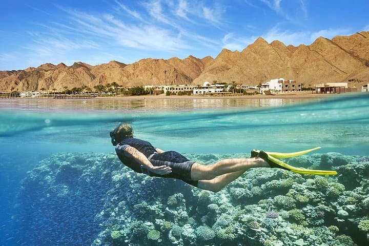 Snorkel Port Ghalib: Day Trip to Marsa El Shone & Marsa Mubarak photo 1