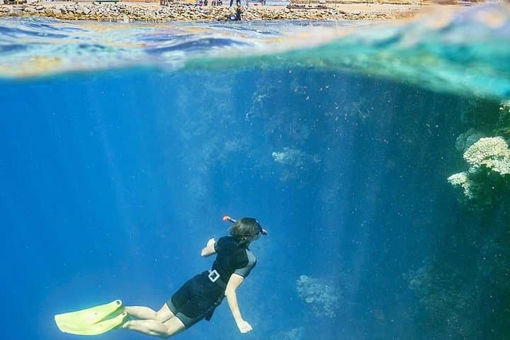 Snorkel Port Ghalib: Day Trip to Marsa El Shone & Marsa Mubarak photo 2