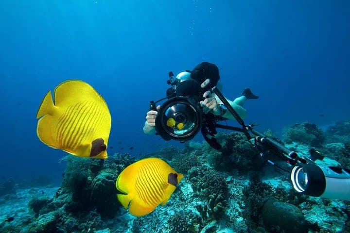 Red Sea Day Scuba Diving From Marsa Alam — Two-Tank Boat Trip to Coral Reefs photo 2