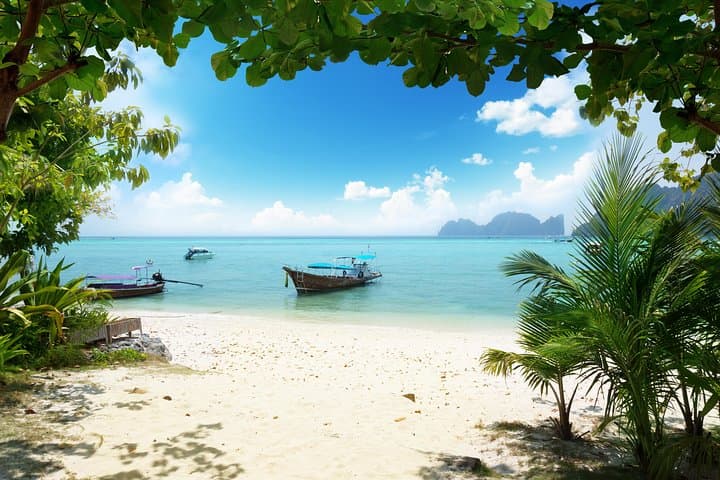 Day Trip to Phi Phi Islands: Phuket Express Ferry with Lunch & Snorkeling