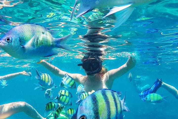 Krabi to Phi Phi Islands by Speedboat: Full-Day Phi Phi Don & Maya Bay Adventure photo 2