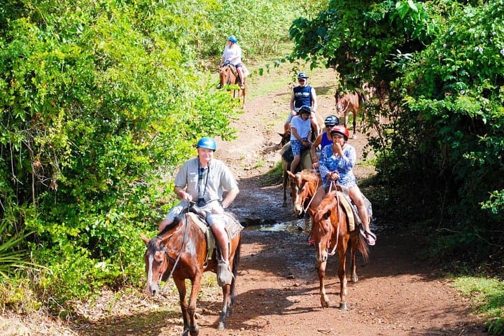 Embark on an Unforgettable Full-Day Safari Adventure in Punta Cana photo 2