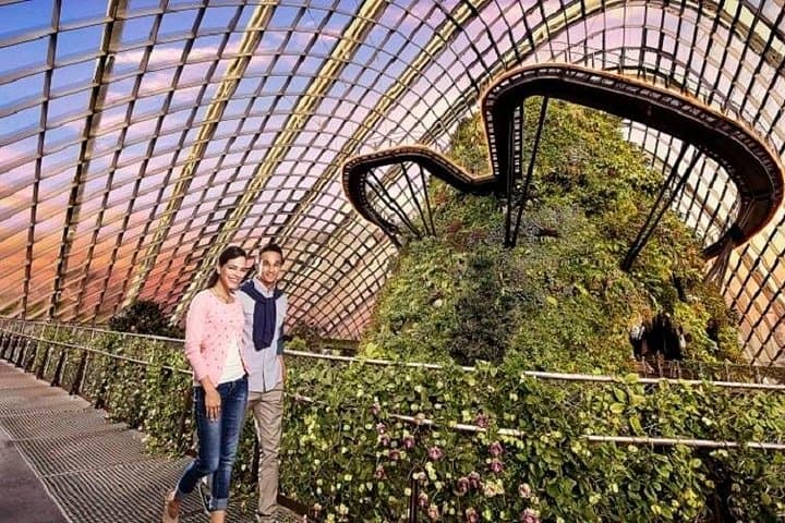 Marina Bay Night Out: Skypark Views & Gardens by the Bay After Dark photo 2
