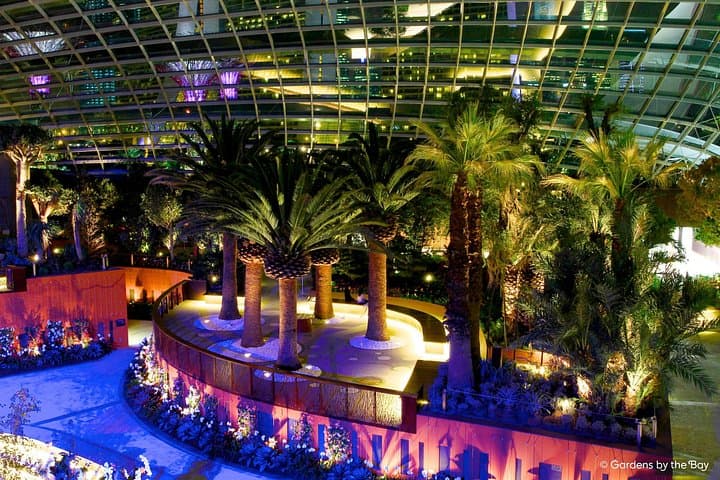 Marina Bay Night Out: Skypark Views & Gardens by the Bay After Dark photo 1