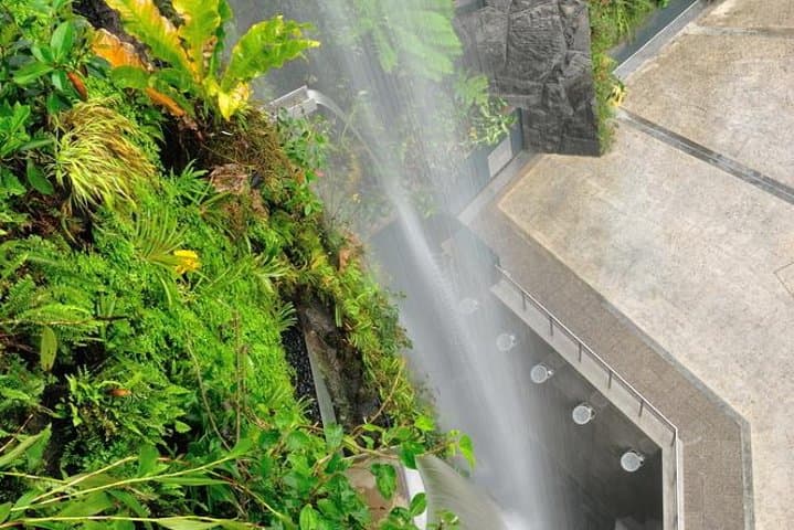 Gardens by the Bay: A Practical Guide to Singapore’s Iconic Conservatories photo 2
