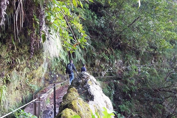 Levada do Rei Guided Walk: Explore Madeira’s Laurisilva 'Madre of Life' photo 2