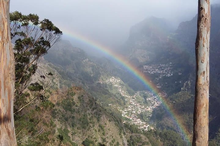 Half-Day 4x4 Safari from Funchal: Mountains, Vineyards & Curral das Freiras Views photo 5