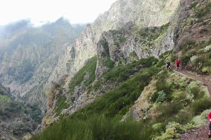 Madeira Levadas: Hike Larano to Boca do Risco and Porto da Cruz photo 3