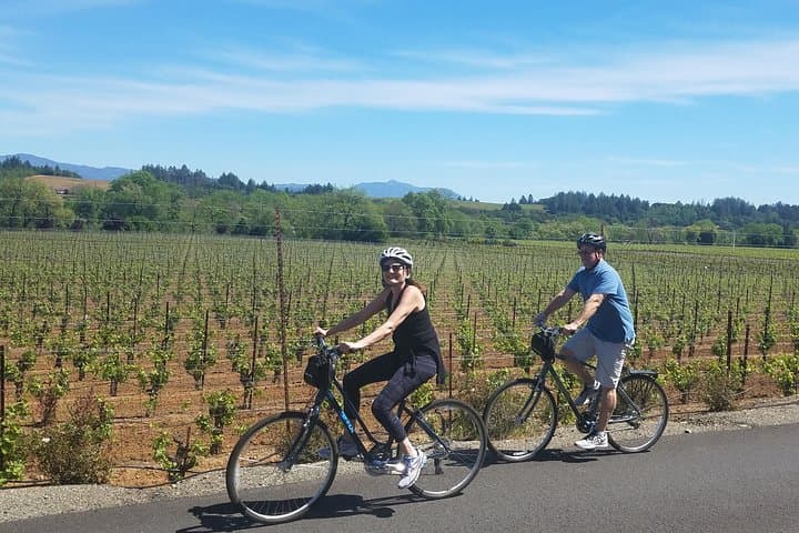Sonoma Valley Pedal Assist Bike Tour with Picnic Lunch photo 2