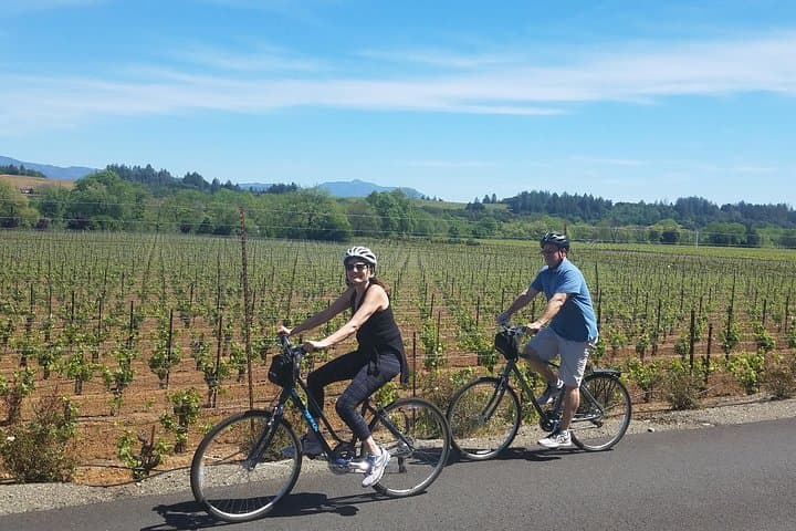 Hassle-Free Bike Rental in Sonoma Valley: E‑Bikes, Hybrids & Local Routes photo 2