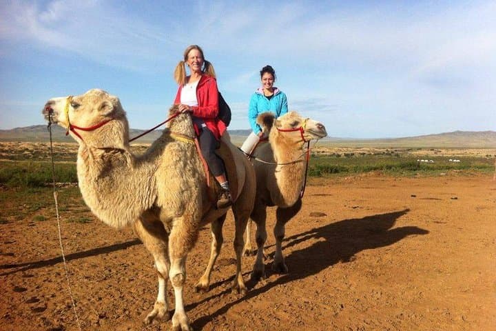 Semi-Gobi Day Tour from Ulaanbaatar: Dunes, River Views & Camel Rides