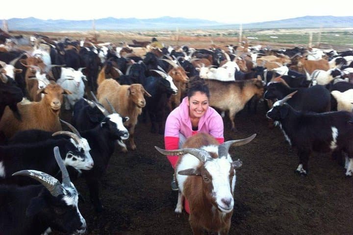 Semi-Gobi Day Tour from Ulaanbaatar: Dunes, River Views & Camel Rides photo 2