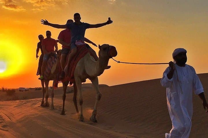 Morning Desert Safari in Dubai: Dune Bashing and Camel Ride Experience
