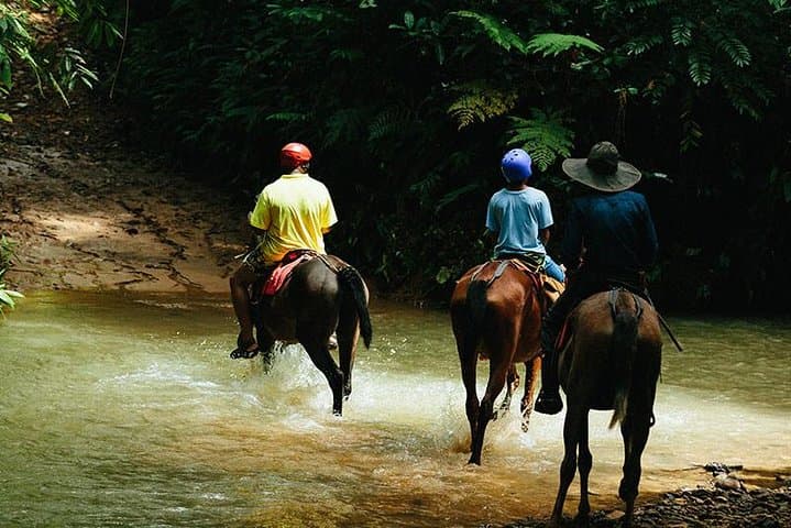 Horseback Riding to Tocori Waterfalls from Manuel Antonio photo 2