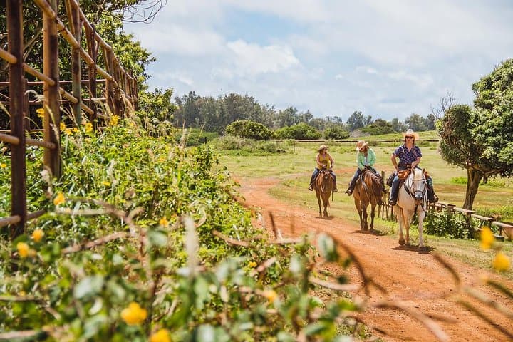 Paniolo Horseback Ride in Kahuku: 90-Min North Shore Ranch Tour photo 5