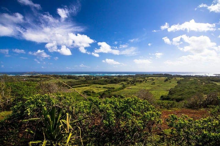 Paniolo Horseback Ride in Kahuku: 90-Min North Shore Ranch Tour photo 6