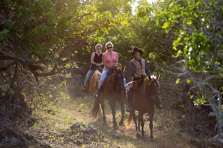 Oahu Sunset Horseback Ride: North Shore Sunset Horseback Tour photo 5