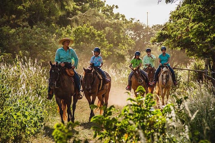 Oahu Sunset Horseback Ride: North Shore Sunset Horseback Tour photo 3