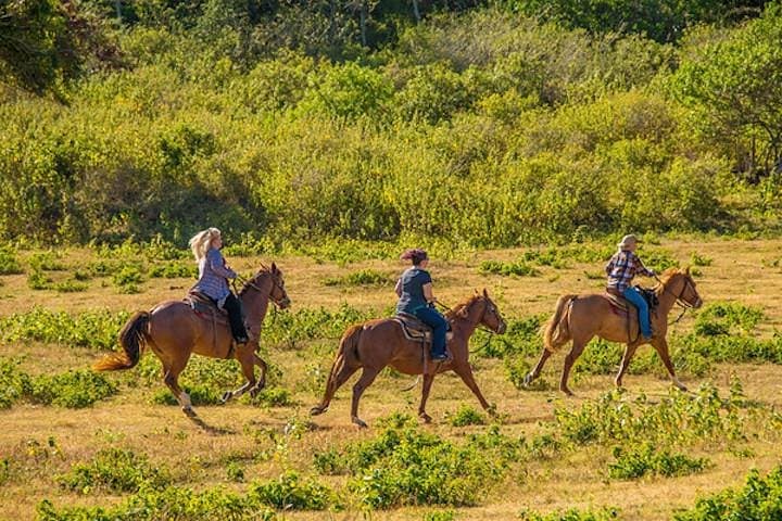 Private Advanced Trail Ride on Oahu’s North Shore — Gunstock Ranch photo 2