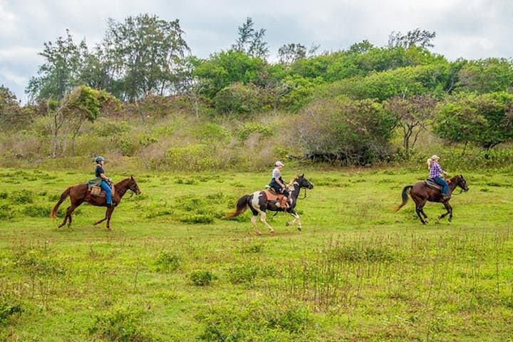 Private Advanced Trail Ride on Oahu’s North Shore — Gunstock Ranch photo 3