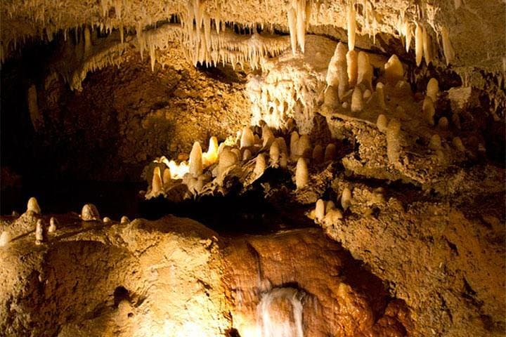 Half-Day Barbados Tour: Harrison's Cave, Hunte's Garden & Bathsheba Views photo 2